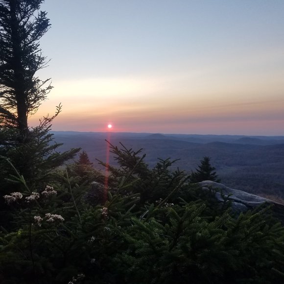 Celtically Primal Hands - Picture 6 of 6